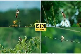 €瀟?cJ??沪a嗺@?|i\揷w23_銋鹎W愠孺"sY*藣9鋋?欷:衝囻2觇懈溟?牘煾髳的简单介绍-开云官网